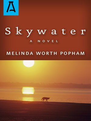 cover image of Skywater